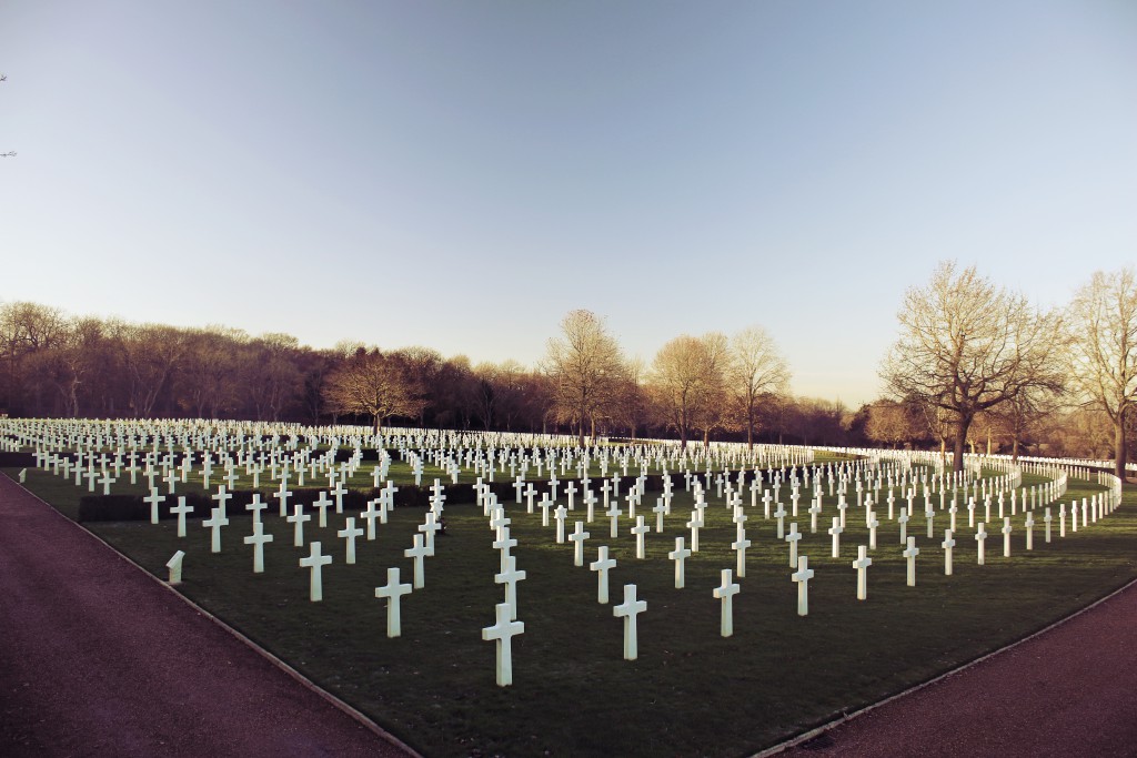 WW1 sensory experience 4 image of a field of white crosses