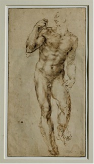 Fig. 2) Michelangelo, study of a male nude, 1502-1506
