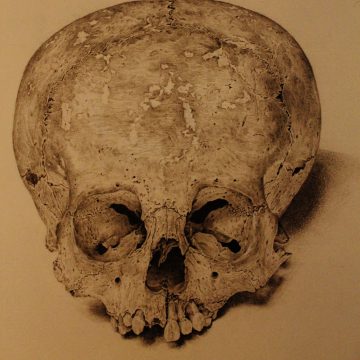 skull image