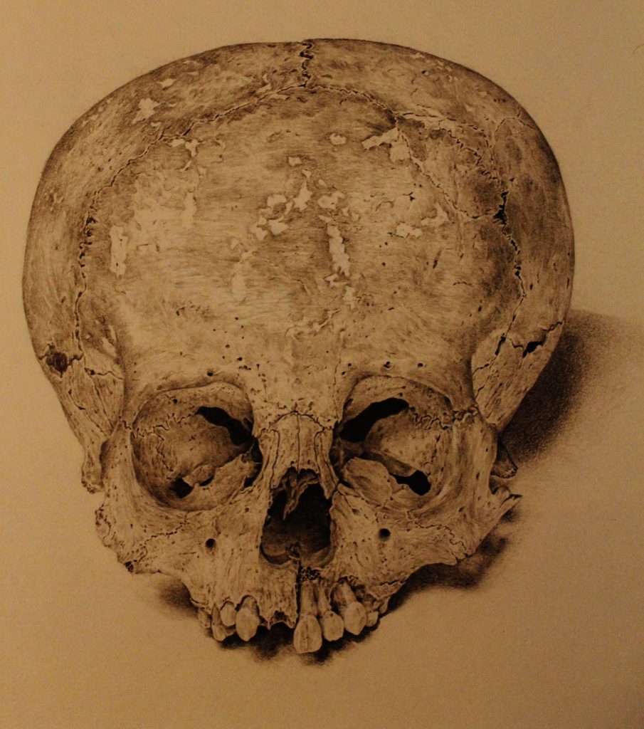 skull image
