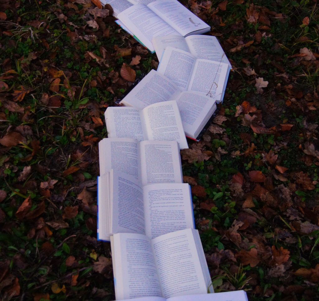deco image: books open in line on field