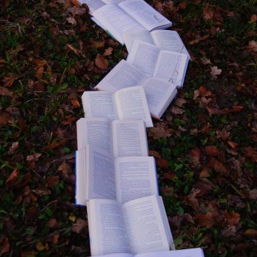 deco image: books open in line on field