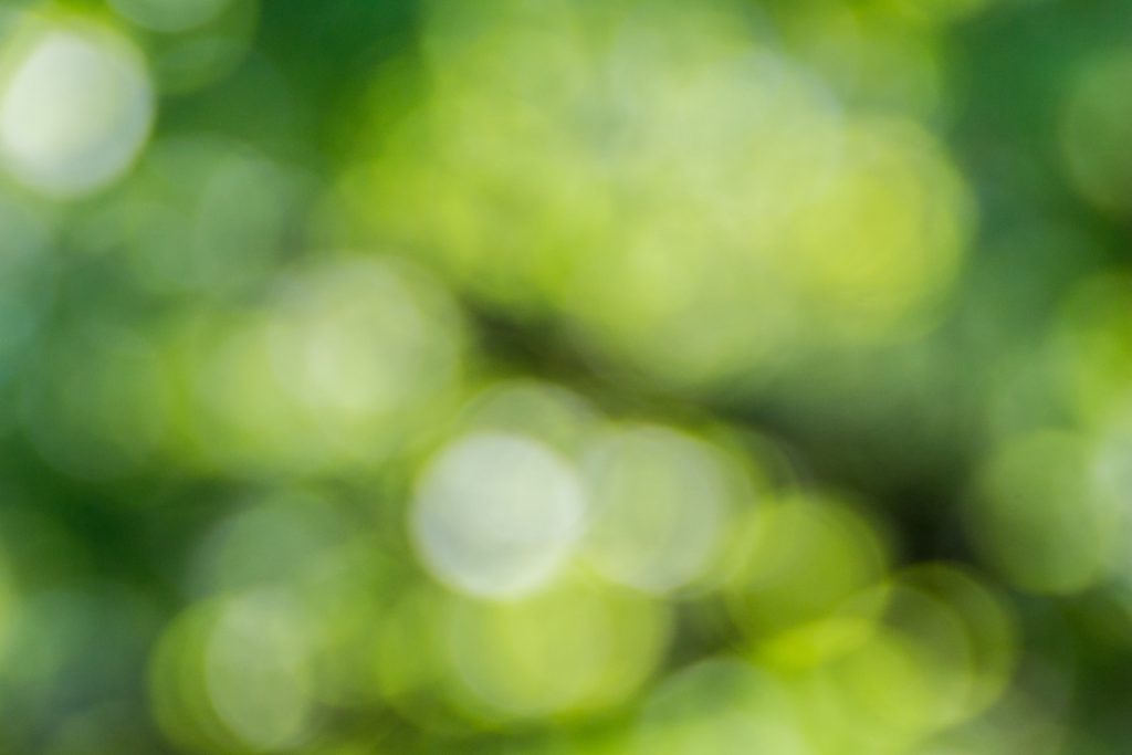 deco image: green