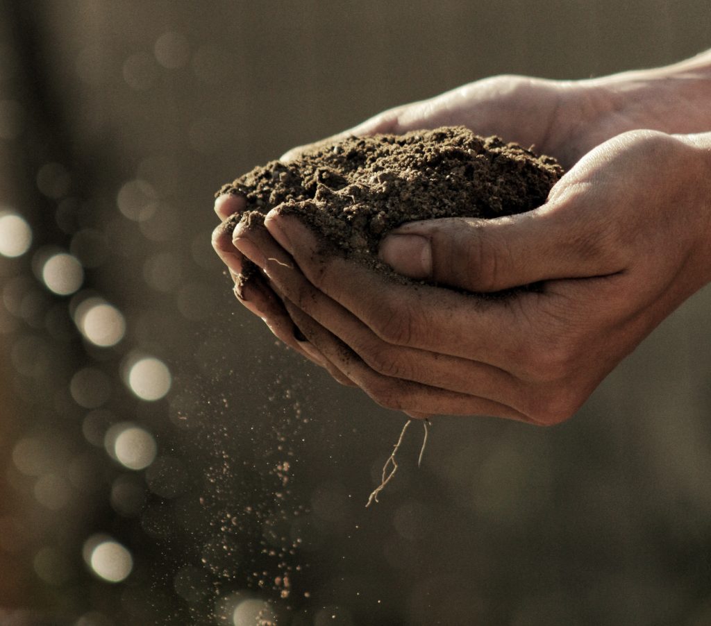 hand holding dirt