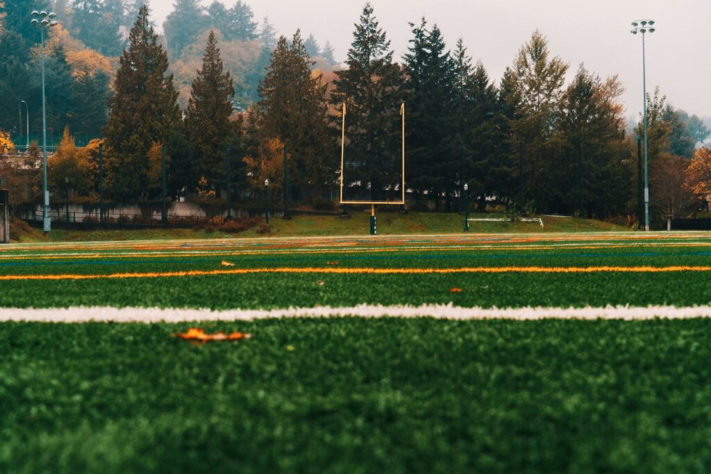 turf sports field