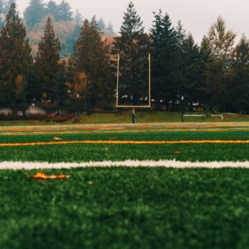turf sports field