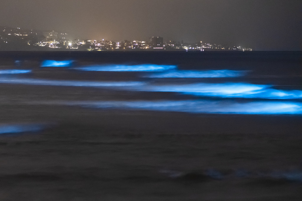 Some more photos of the bioluminescent tide at Dog Beach (Del Mar North Beach) in Del Mar.